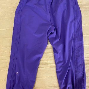Ivviva Purple Joggers Kids Size 14